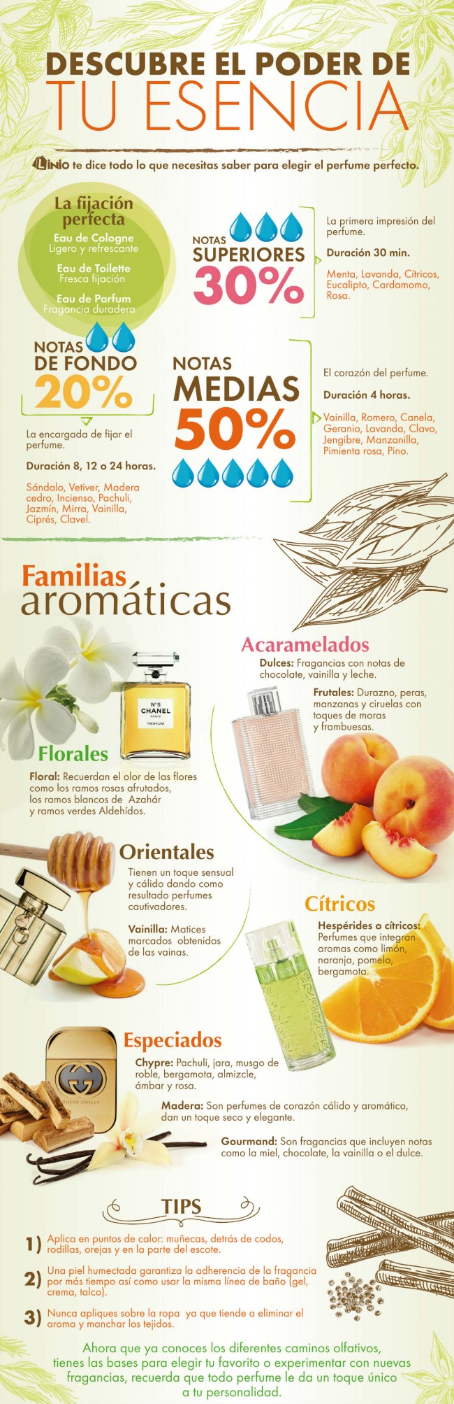 infografía perfumes